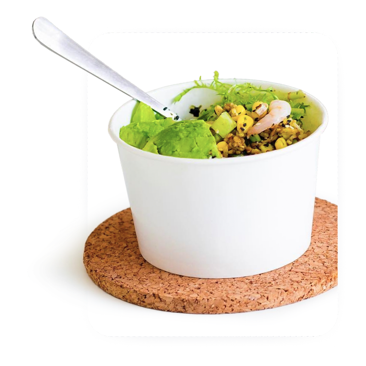 ToGo Food Packaging and Condiments KariOut